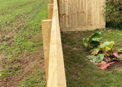 Feather Edge Fencing