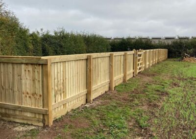 Feather Edge Fencing